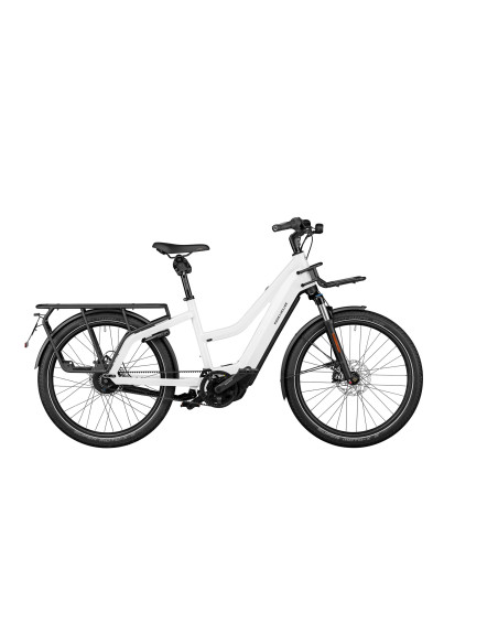 Riese & Müller Multicharger Mixte GT Vario HS
