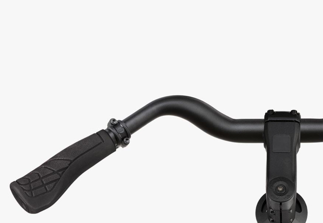 Riese & Müller Roadster4 Mixte Vario 625Wh [Står klar i butikken] - eCykler a/s 