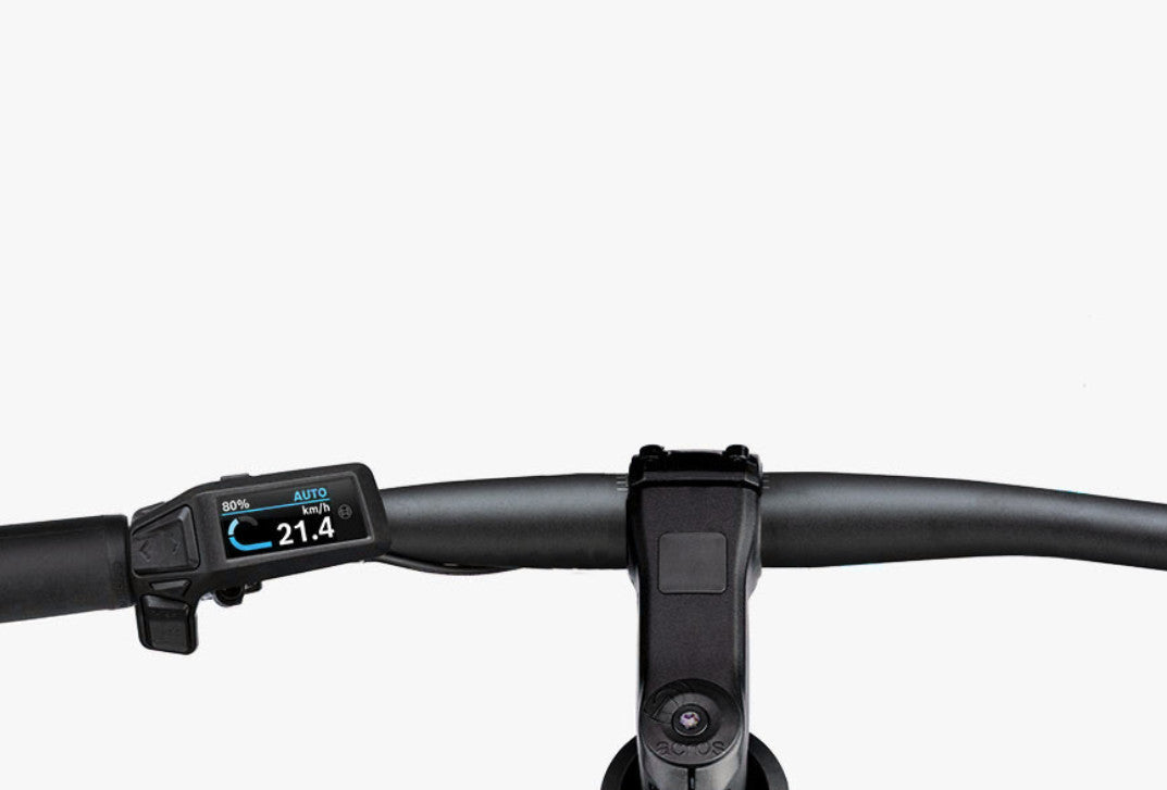 Riese & Müller Roadster4 Mixte Vario 625Wh [Står klar i butikken] - eCykler a/s 