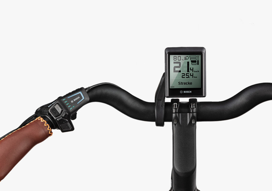 Riese & Müller Swing4 rücktritt 500Wh [Står klar i butikken] - eCykler a/s 